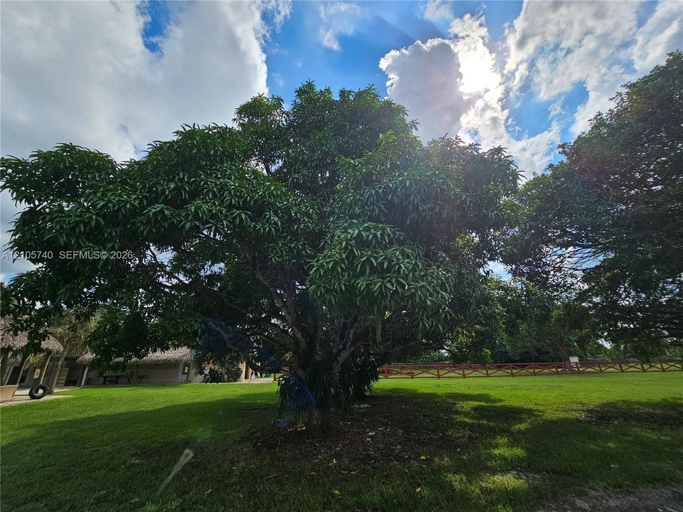En Venta: $19,500 (0 camas, 0 baños, 0 Pies cuadrados)