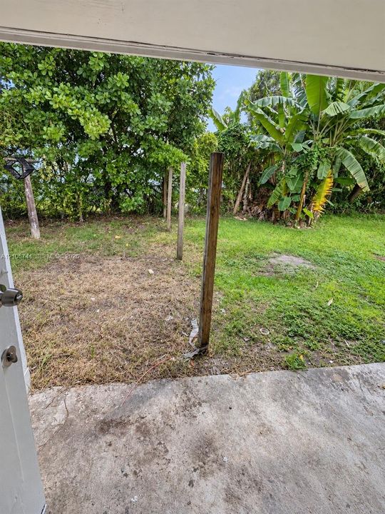 Concrete patio floor extending into a grassy yard featuring mature trees and established tropical foliage