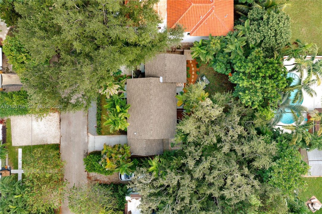 Aerial perspective of property featuring shingled roofing, paved driveway, mature canopy trees, and an in-ground swimming pool