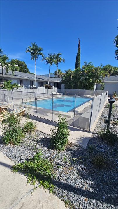 Outdoor pool with a removable safety fence, concrete pool deck, rock-mulched landscaping, and palm trees