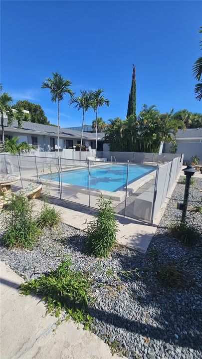 Swimming pool featuring a rectangular design, mesh perimeter fencing, and concrete decking, surrounded by stone landscaping and mature palm trees