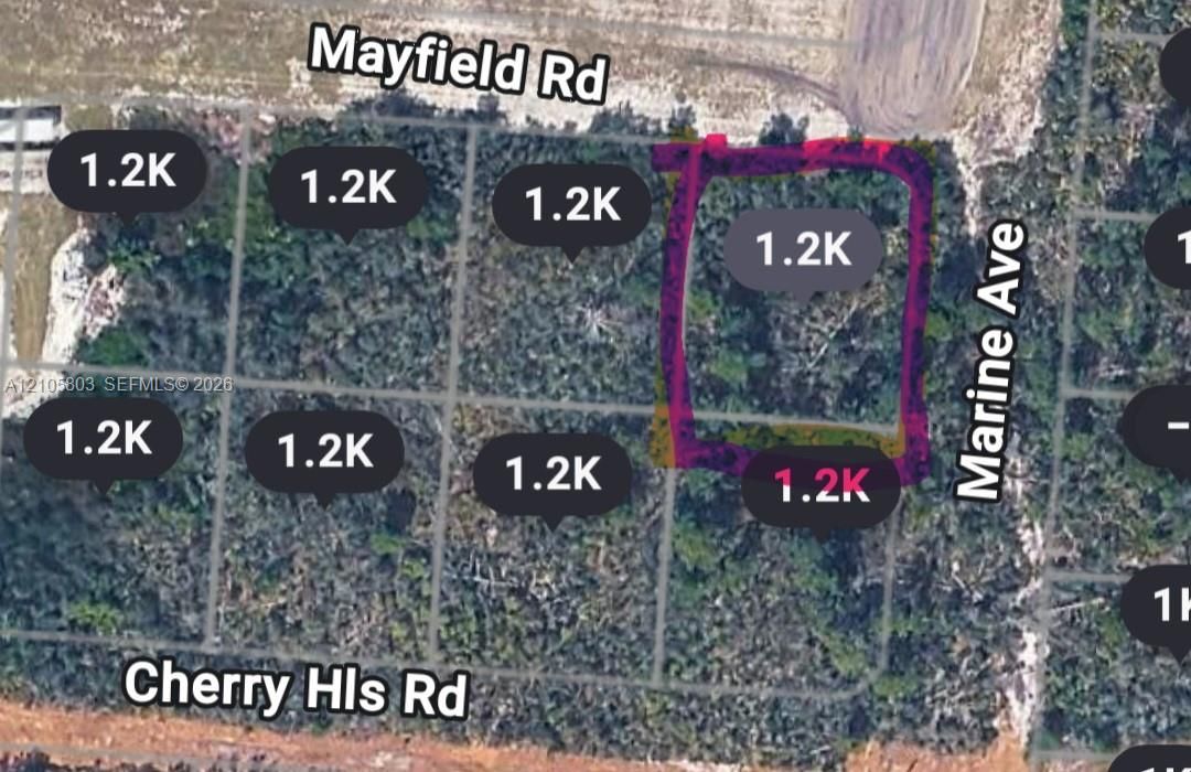 Aerial Property Plat. Visual representation of land boundaries and the property location relative to identified roadways