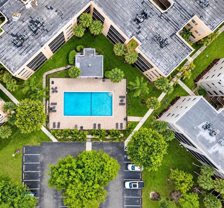 Rectangular swimming pool with paved deck, mature palm trees, landscaped green spaces, and paved parking area