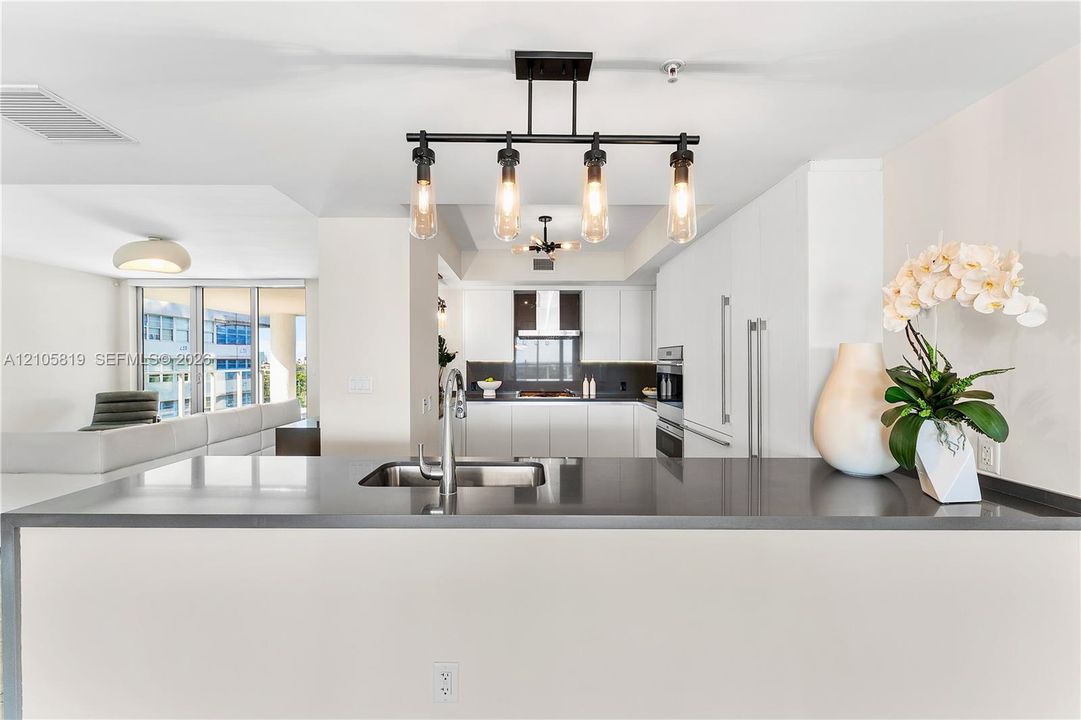 Chef's Kitchen with Wolf Gas Cooktop, Sub-Zero Fridge, Wine Cooler and lots of Storage.