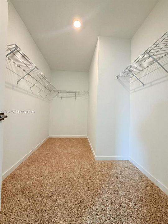 Walk-in closet featuring wall-to-wall carpeting and tiered white wire shelving