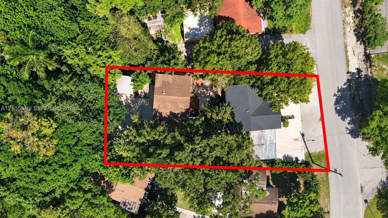 Aerial view of a parcel featuring mature trees, substantial canopy coverage, and paved driveway space