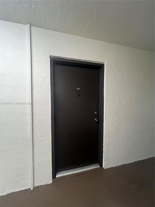 Dark-toned entry door with dual metallic hardware, installed within a textured white wall surround