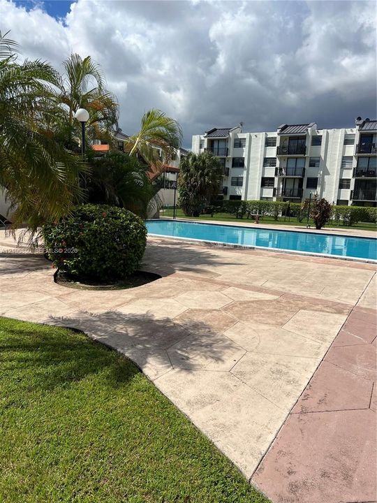 Swimming pool with stamped concrete decking, mature palm trees, and manicured landscaping