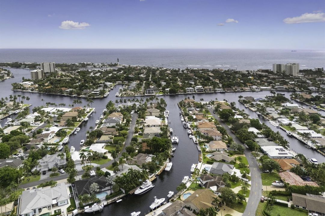 Drone house birds view