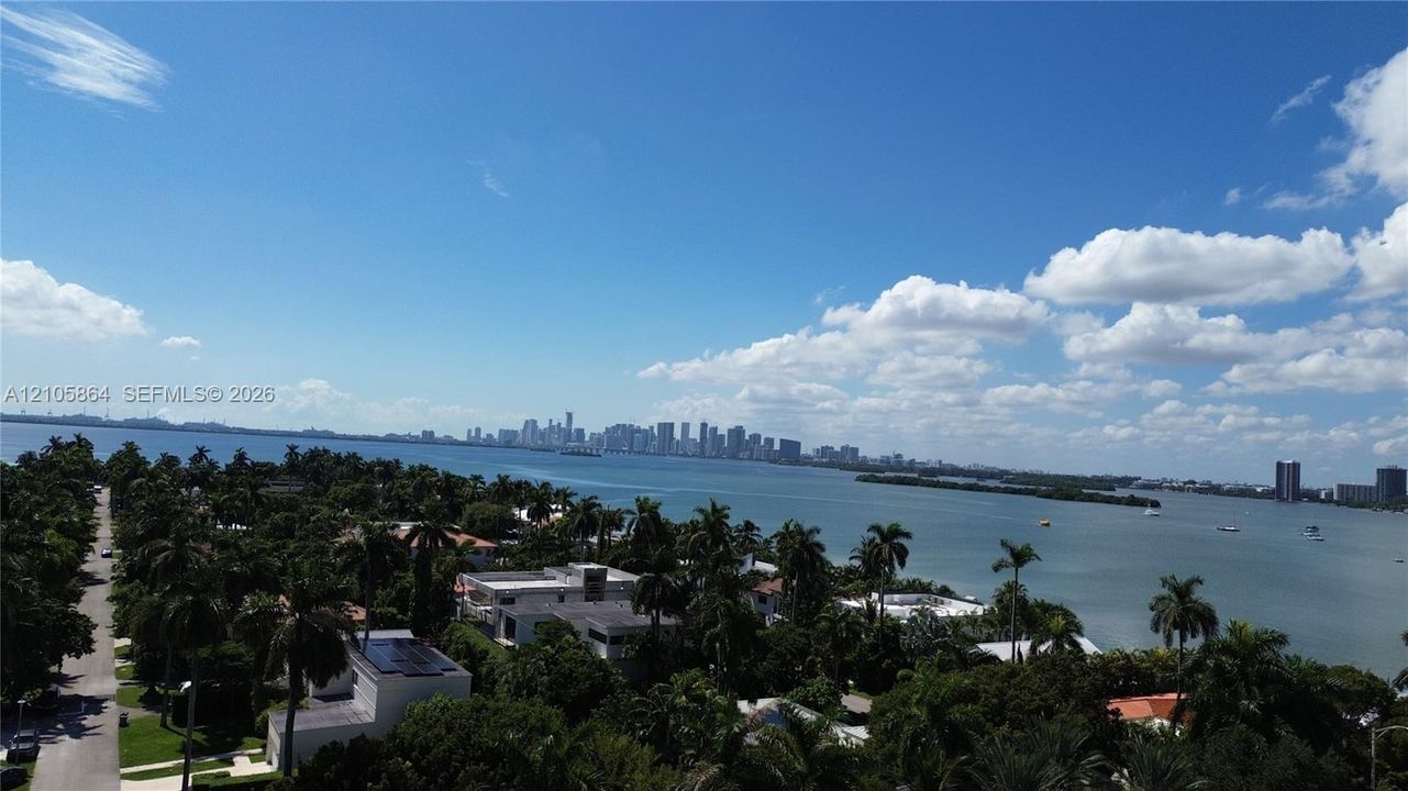 Elevated coastal perspective featuring panoramic water expanses, mature tropical vegetation, and a skyline horizon