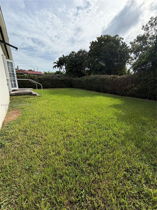 Private backyard featuring a level grass lawn, high perimeter hedges, and a concrete entry step with a metal handrail