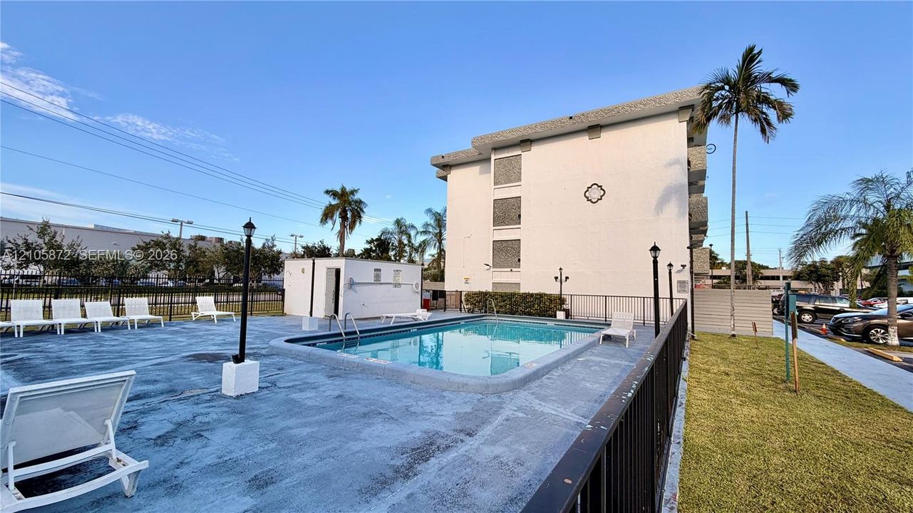 In-ground swimming pool featuring a concrete deck, metal perimeter fencing, and mature palm trees