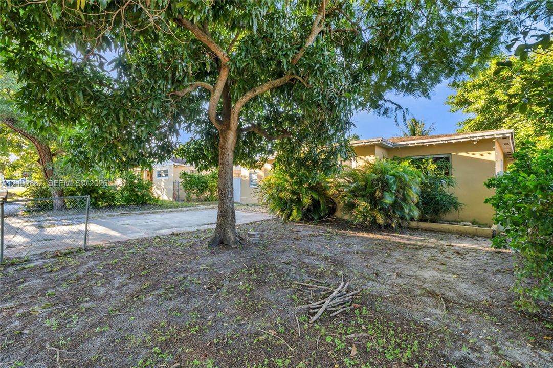 Single-story residence featuring a paved driveway, chain-link perimeter fencing, mature trees, and established shrubbery