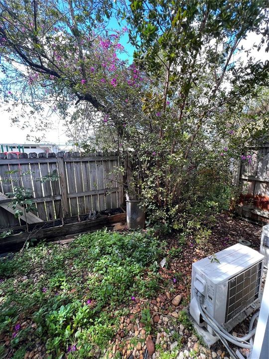 Back private patio