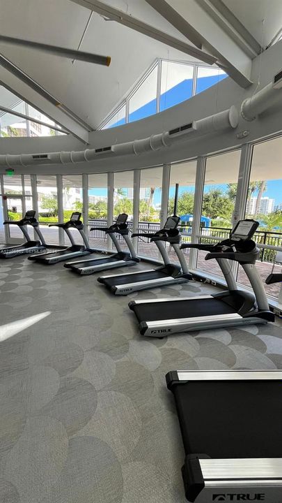 Fitness room featuring floor-to-ceiling windows, high vaulted ceilings, and patterned commercial-grade carpeting