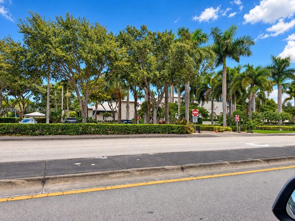 Mature landscape featuring established shade trees and tall palm trees surrounding the property grounds
