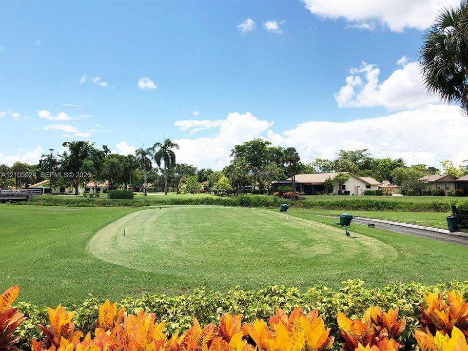 Expansive manicured lawn featuring mature palm trees, shrubbery with variegated foliage, and a paved path