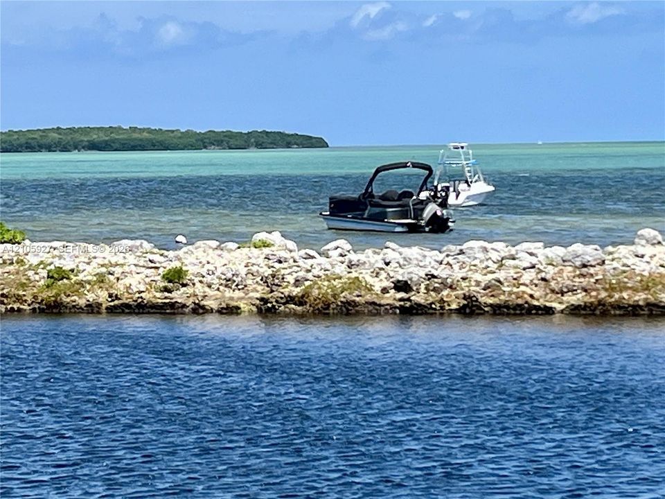 Waterfront shoreline featuring natural rock riprap and coastal vegetation