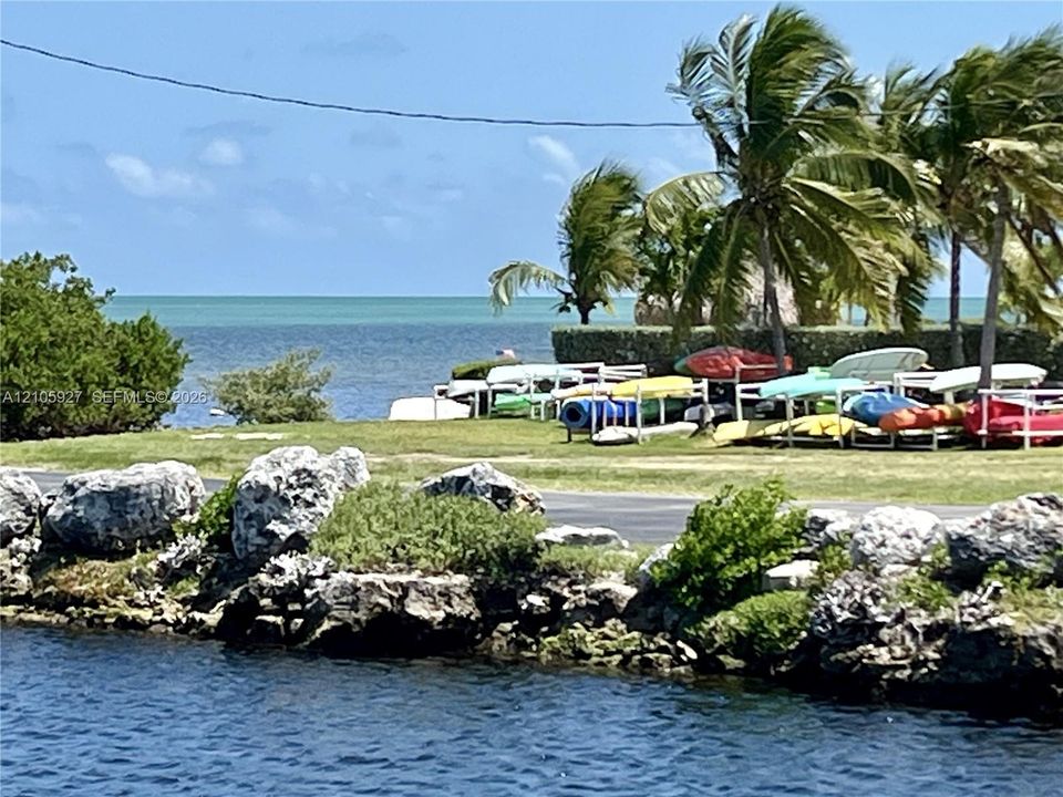 Waterfront property featuring a natural rock shoreline, open lawn space, mature palm trees, and an open expanse of ocean
