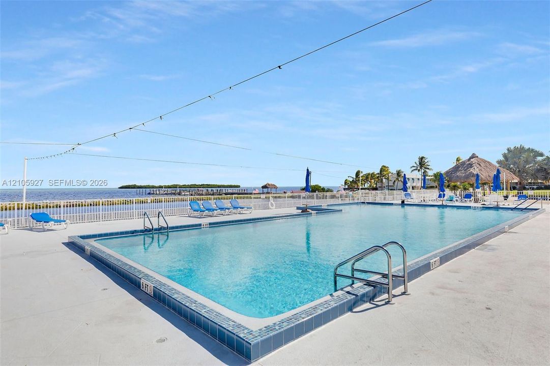 Waterfront swimming pool featuring tile coping, a concrete deck, metal safety fencing, and direct water access