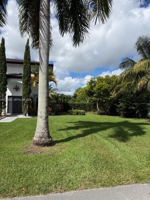 Exterior grounds featuring a manicured lawn, established palm trees, mature greenery, and a concrete walkway