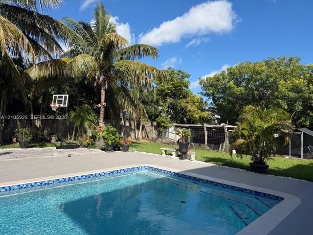 Backyard featuring an inground swimming pool with tiled border, concrete patio, lawn area, and mature palm trees