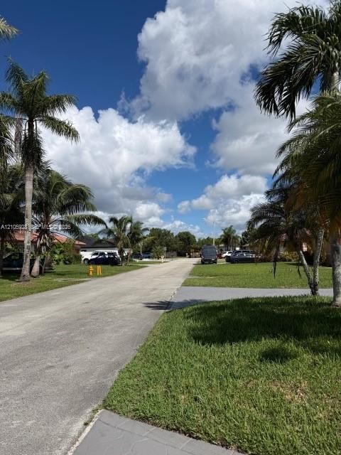 Paved residential street lined with mature palm trees and manicured lawns