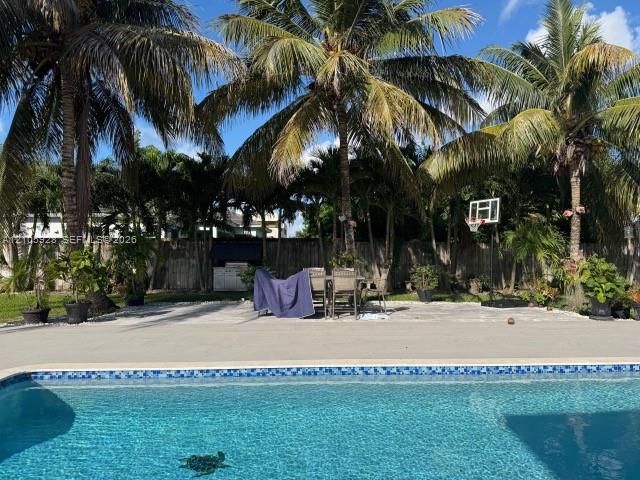 In-ground swimming pool with tile border, expansive concrete patio, built-in outdoor grill station, and mature palm trees