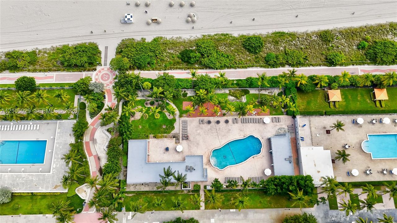 Aerial perspective featuring multiple swimming pools, paved walkways, landscaped green spaces, and direct proximity to the beach