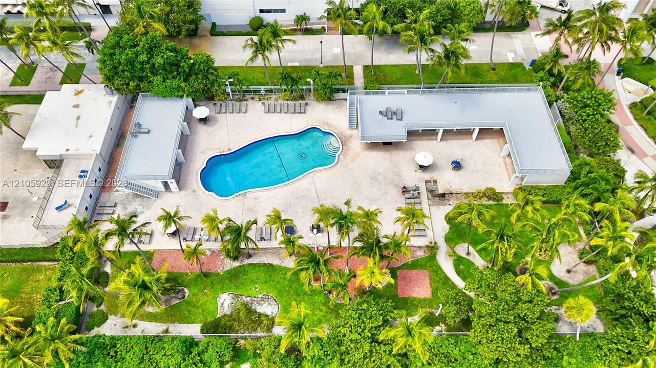 Outdoor recreational area featuring a large swimming pool, expansive paved patio, landscaped green space, and mature palm trees