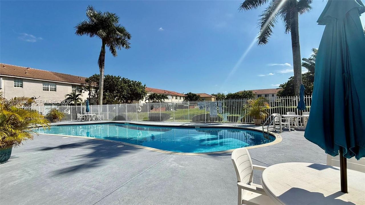 In-ground swimming pool featuring a concrete deck, metal perimeter fencing, and mature palm trees