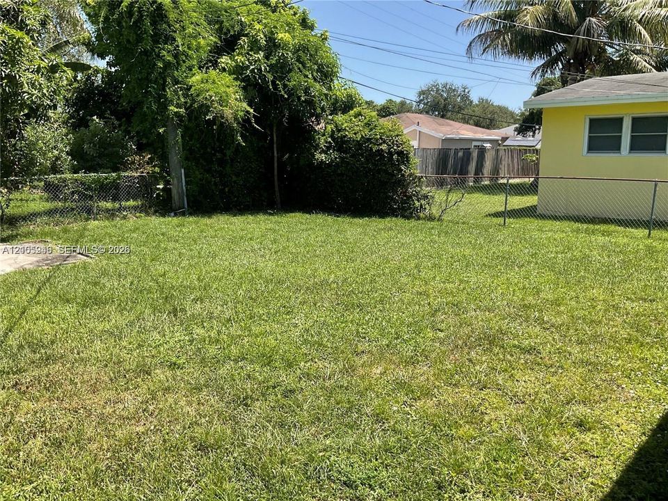 Backyard featuring a grass lawn, chain-link fencing, mature trees, and palms