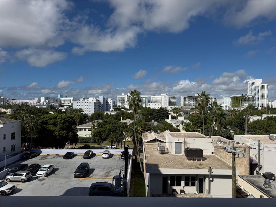 Panoramic urban landscape featuring a cityscape skyline and mature palm trees