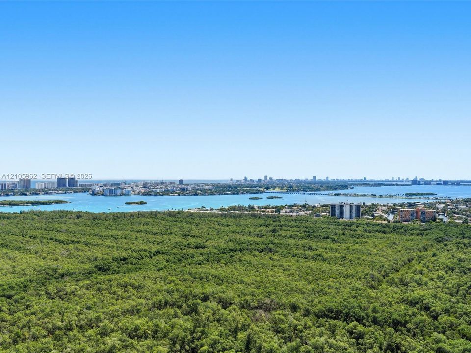 Panoramic perspective featuring dense forest canopy, coastal waterways, and distant urban skyline
