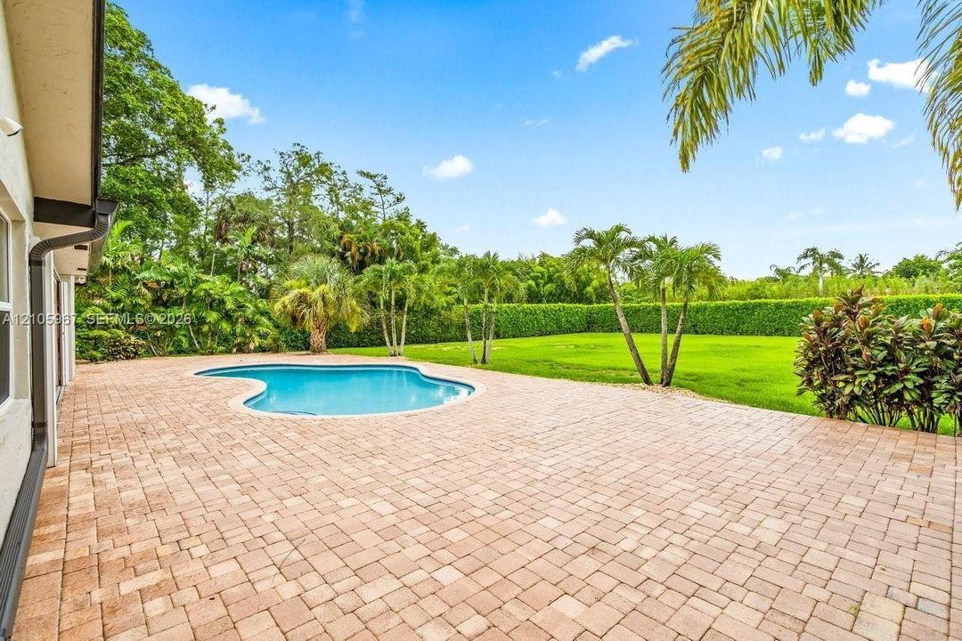 Backyard featuring a paver patio, a free-form pool, a manicured lawn, and mature palm trees