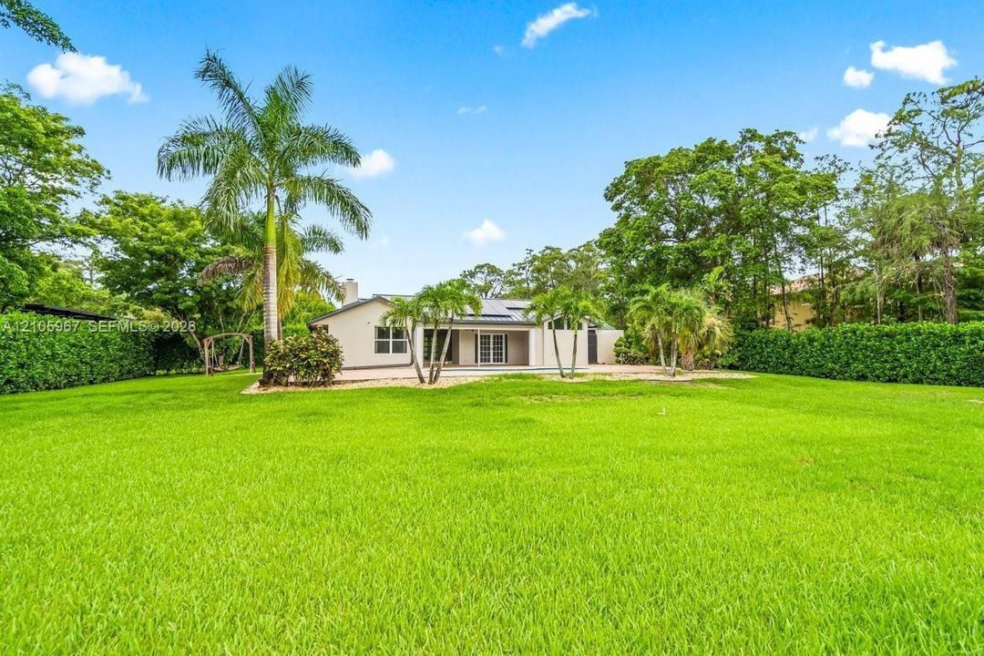 Expansive backyard featuring a manicured lawn, perimeter hedge fencing, mature palm trees, and a light-colored exterior finish