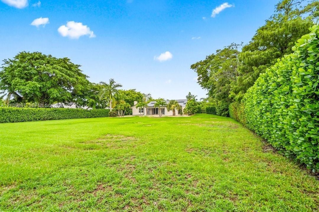 Expansive backyard featuring a manicured lawn, perimeter privacy hedging, and mature trees