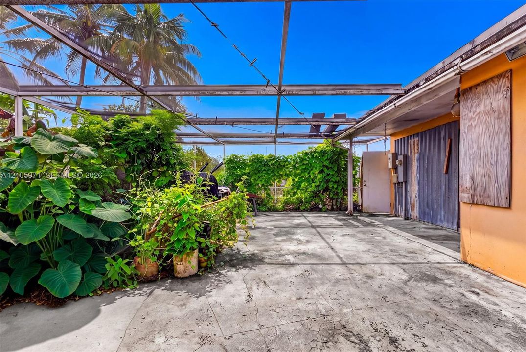 Screen-enclosed concrete patio featuring established tropical landscaping, metal siding exterior wall accents, and an expansive overhead aluminum frame