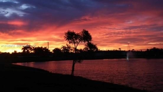 Waterfront property featuring a pond, a central fountain, and mature tree silhouettes set against a prominent sunset backdrop