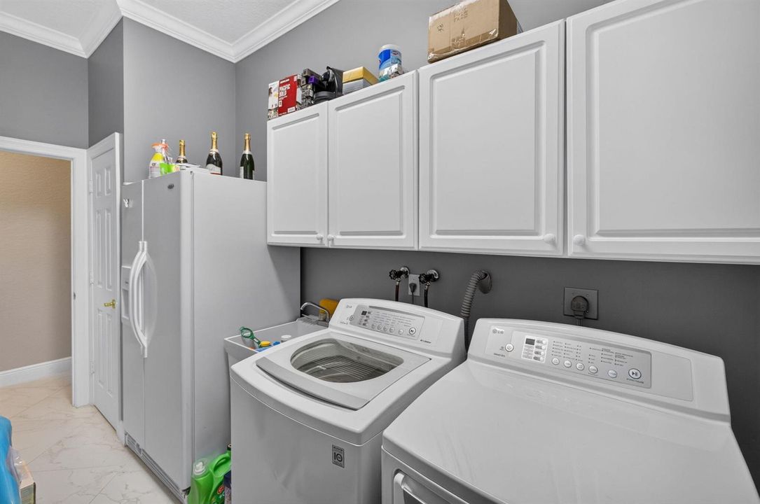 55-web-or-mls-5D1A0220