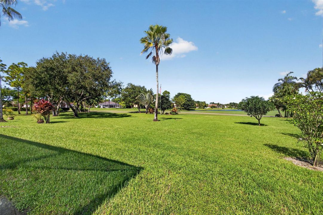 81-web-or-mls-5D1A9909