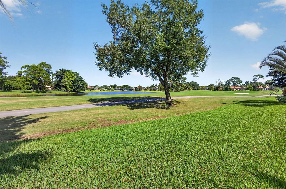 85-web-or-mls-5D1A9929