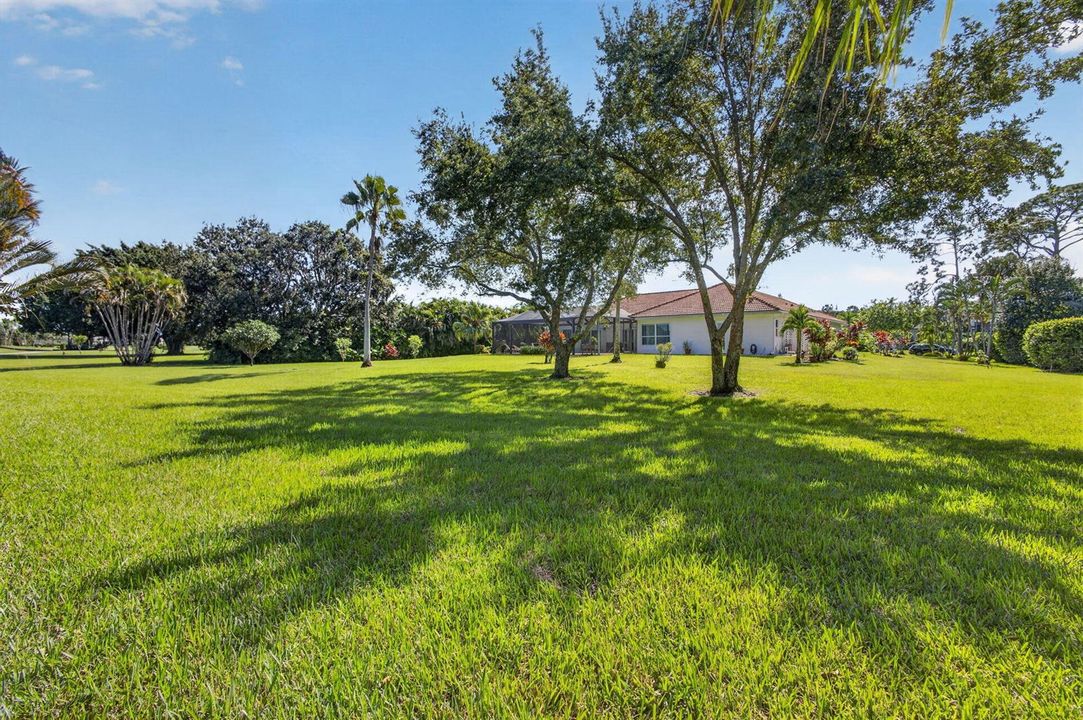 86-web-or-mls-5D1A9935