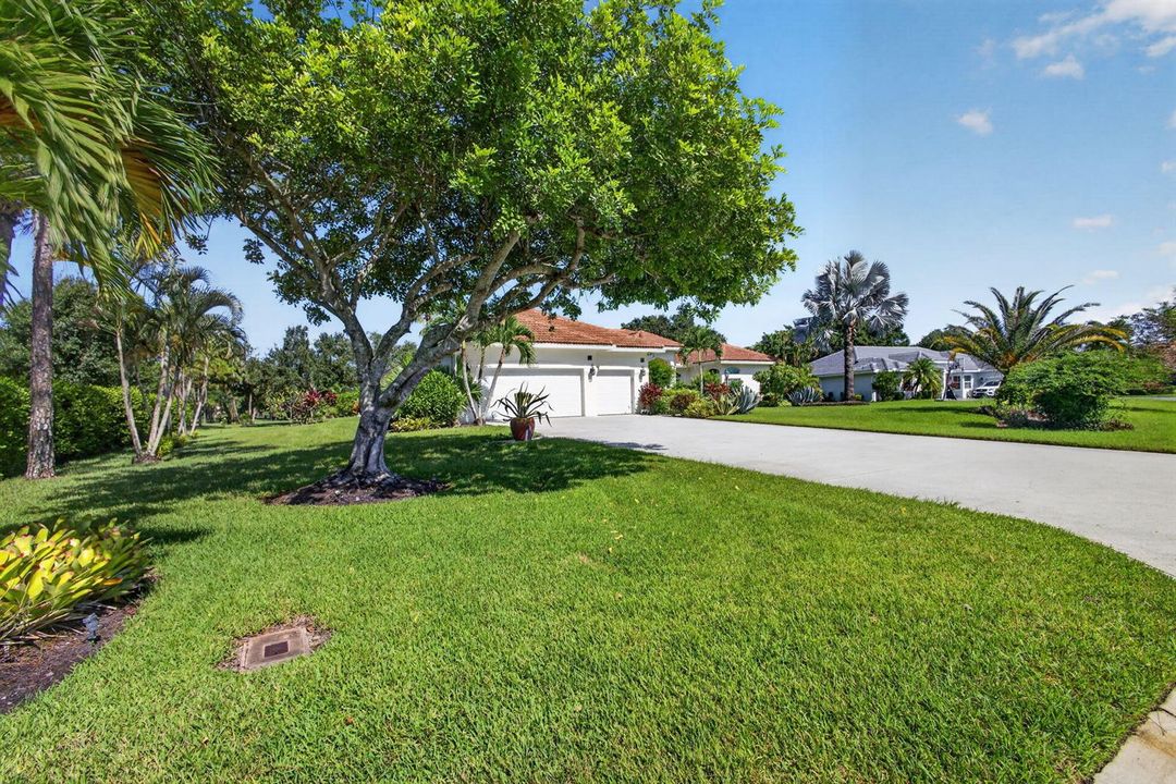 1-web-or-mls-5D1A9779