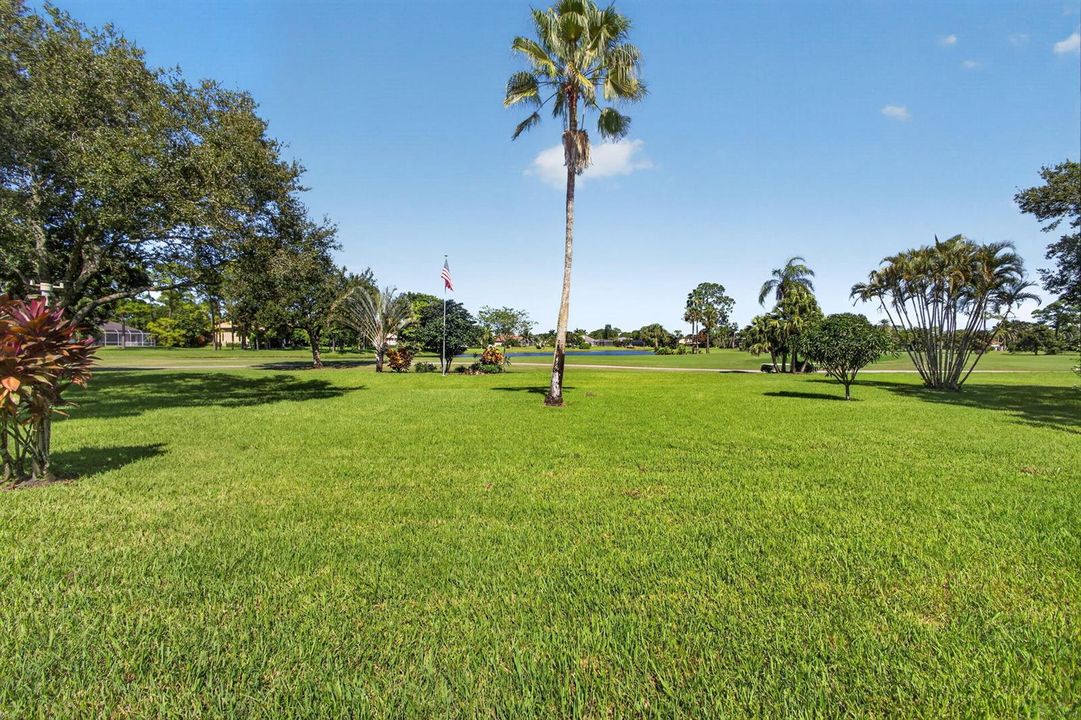 80-web-or-mls-5D1A9904