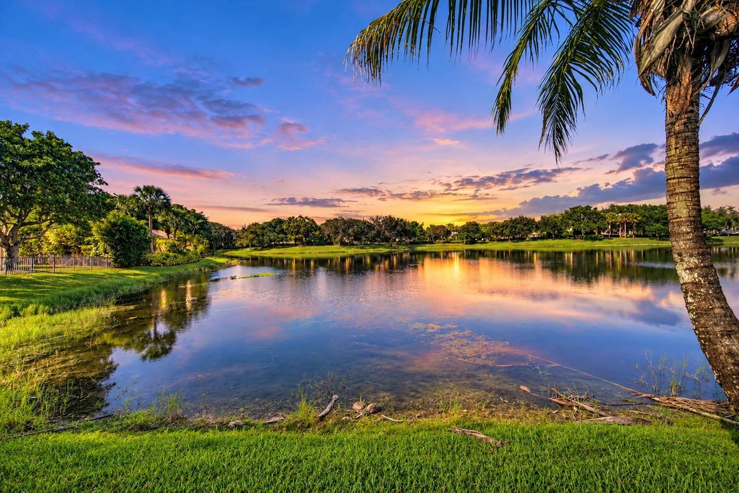 Tranquil Sunset Lake with Palms