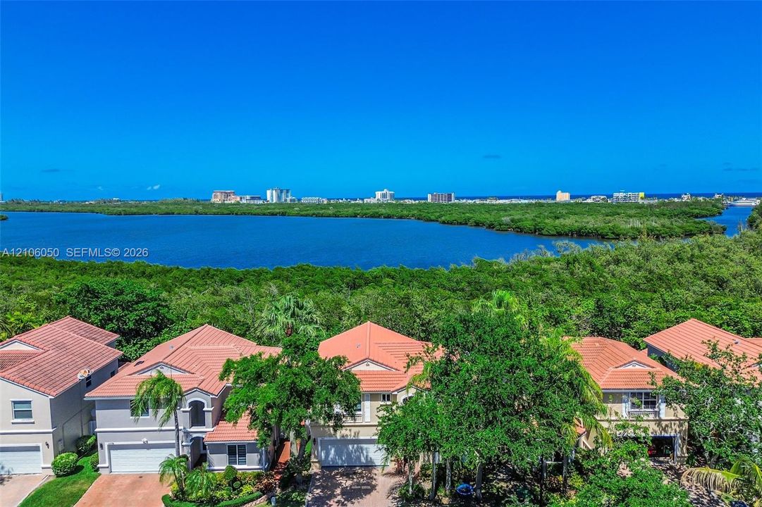 Aerial perspective featuring tile-roofed residences, extensive natural vegetation, and open water frontage