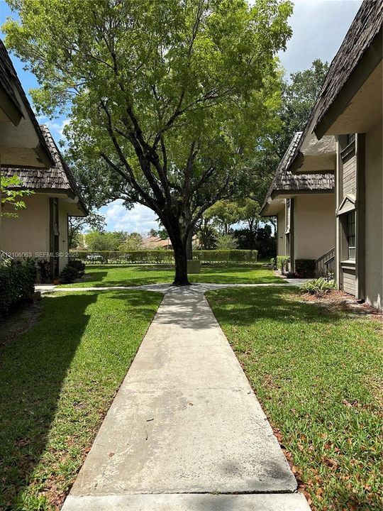 Exterior courtyard featuring a concrete walkway, mature tree canopy, manicured lawn, and wood-shake roofing elements