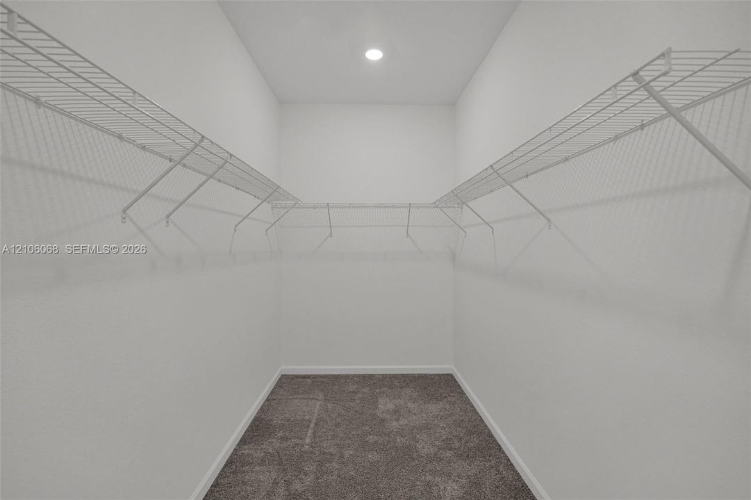 Storage area featuring wall-to-wall wire shelving and carpeted flooring