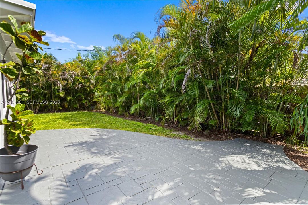 Backyard space featuring a stamped concrete patio, manicured lawn, and dense palm vegetation